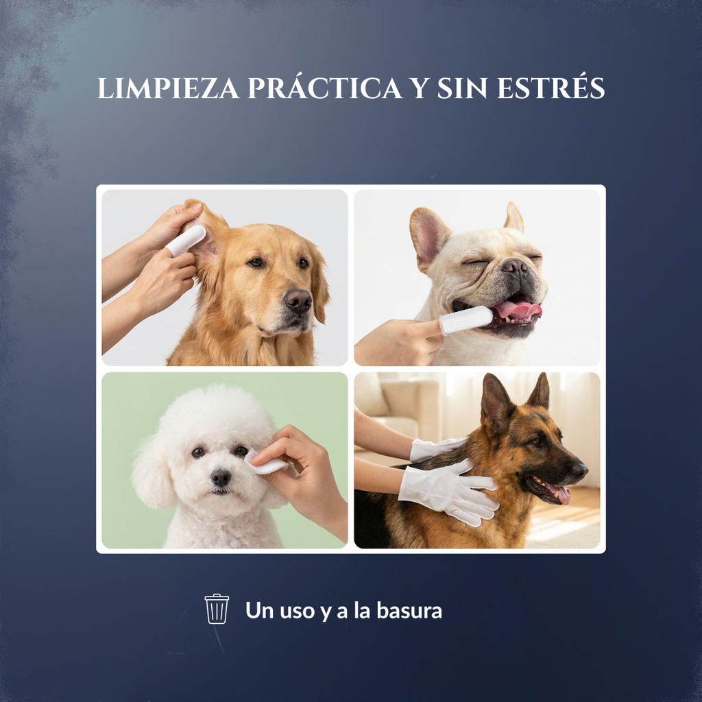 Tiempo de Spa - Edición Real