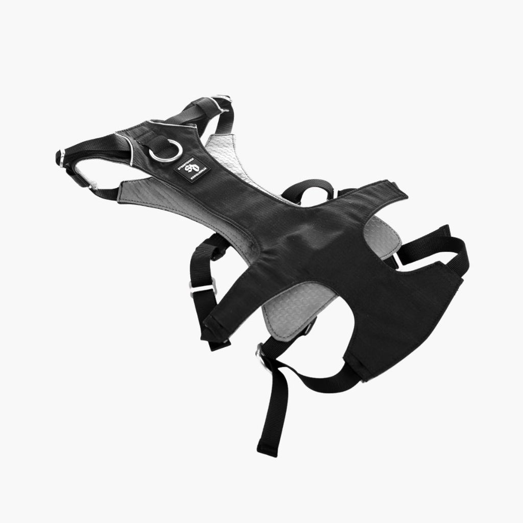 Arnés Antiescape de Seguridad para Perros – Negro | Su MajesPet