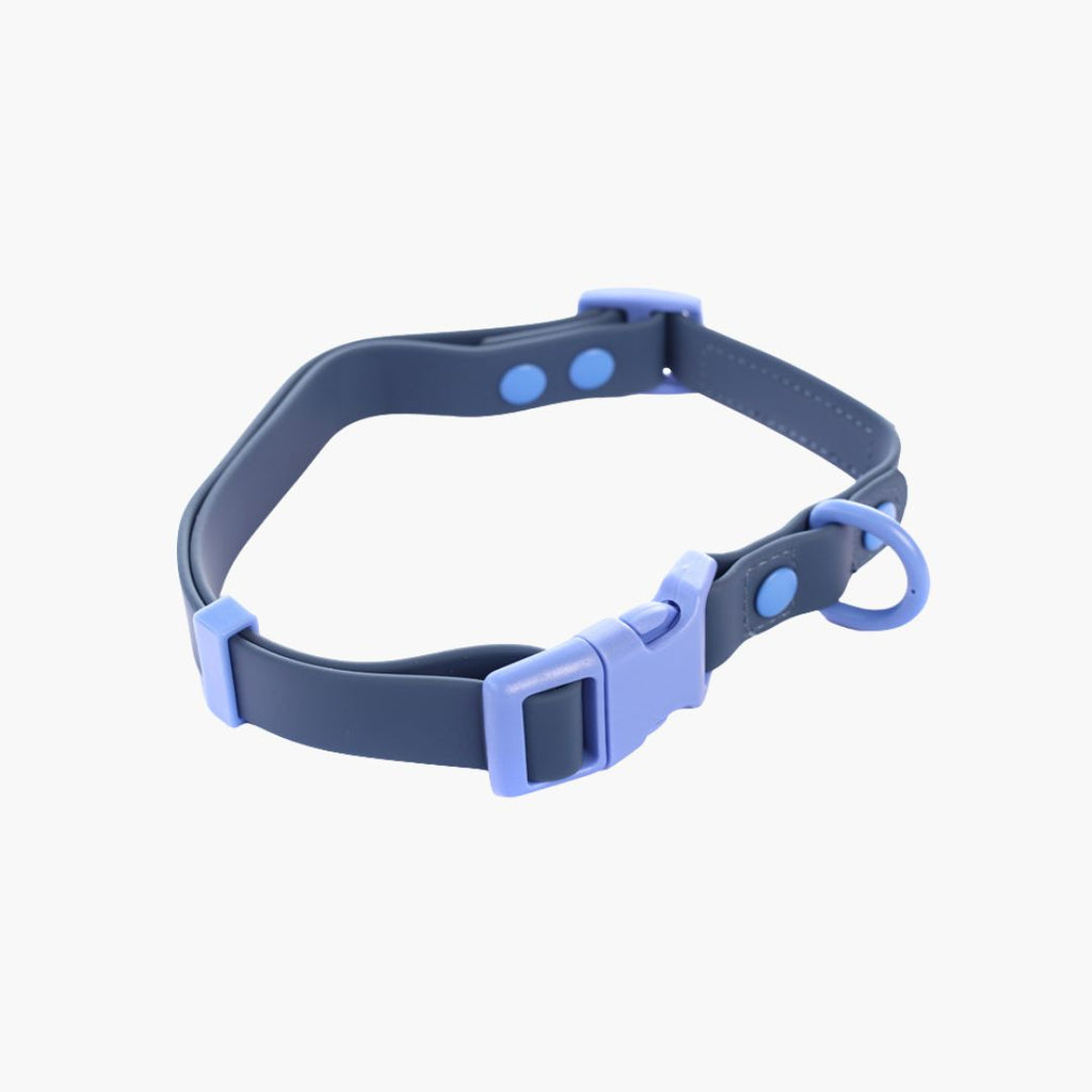 Collar para Perros – PVC Impermeable | Su MajesPet