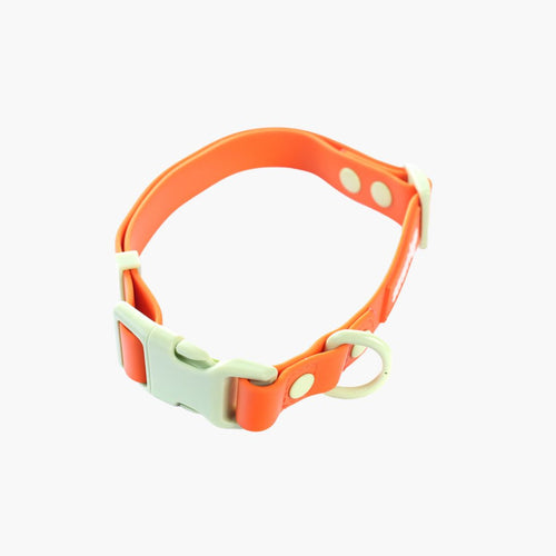 Collar para Perros – PVC Impermeable | Su MajesPet