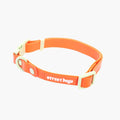 Collar para Perros – PVC Impermeable | Su MajesPet