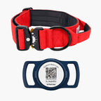 Kit Identidad Imperial: Collar Imperial + Placa QR Mi Nombre Es | Su MajesPet