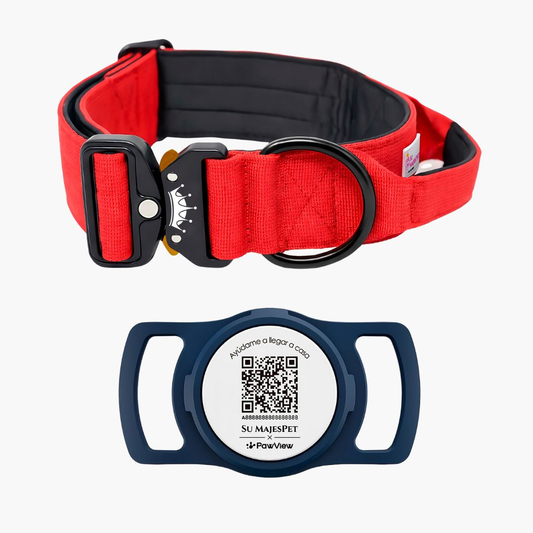 Kit Identidad Imperial: Collar Imperial + Placa QR Mi Nombre Es | Su MajesPet