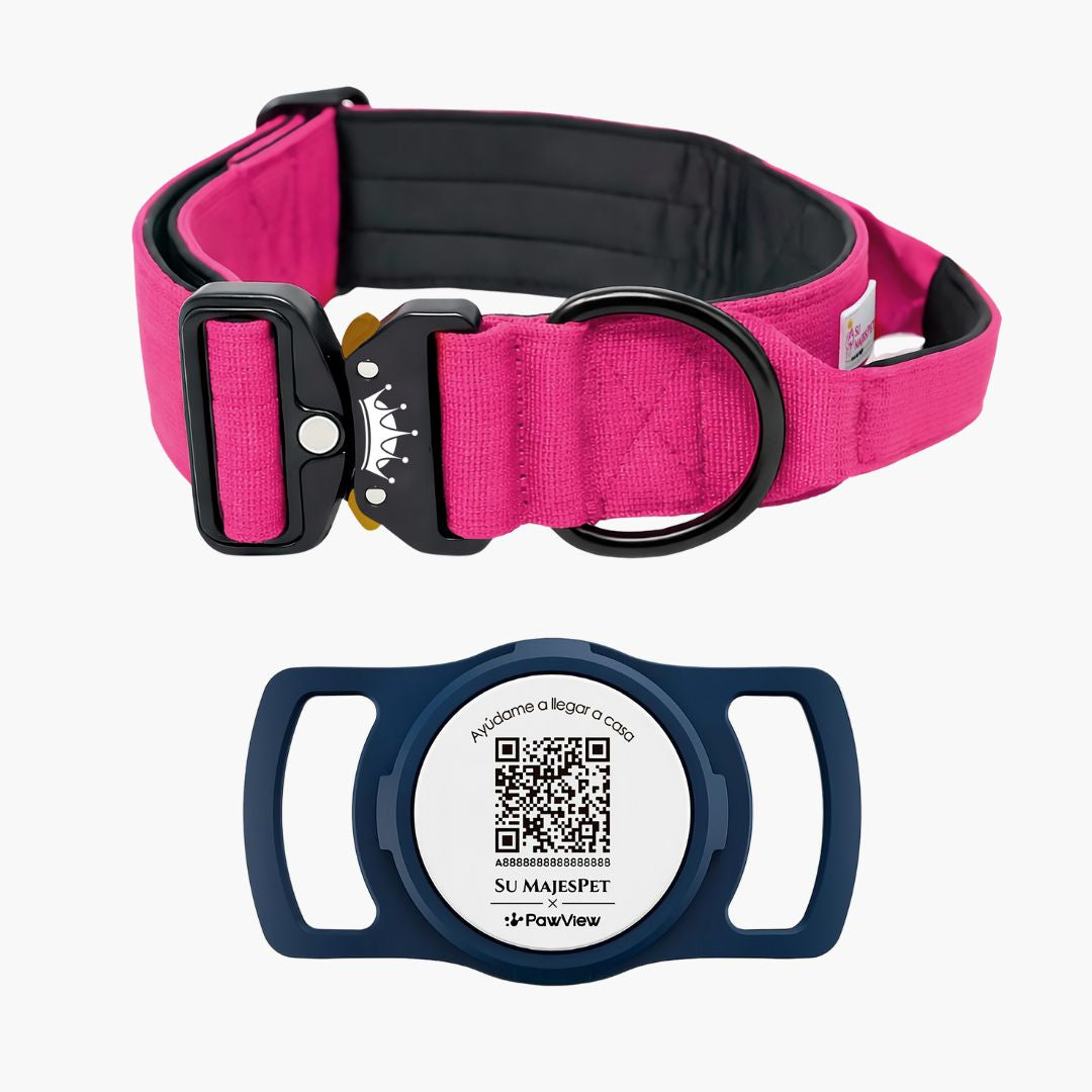 Kit Identidad Imperial: Collar Imperial + Placa QR Mi Nombre Es | Su MajesPet