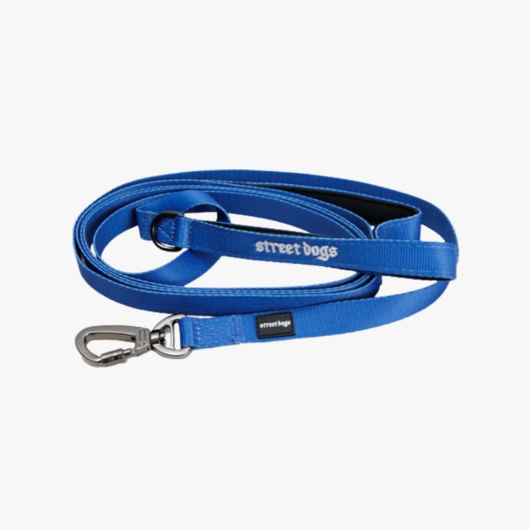 Correa de Adiestramiento para Perros 3 m - Azul | Su MajesPet