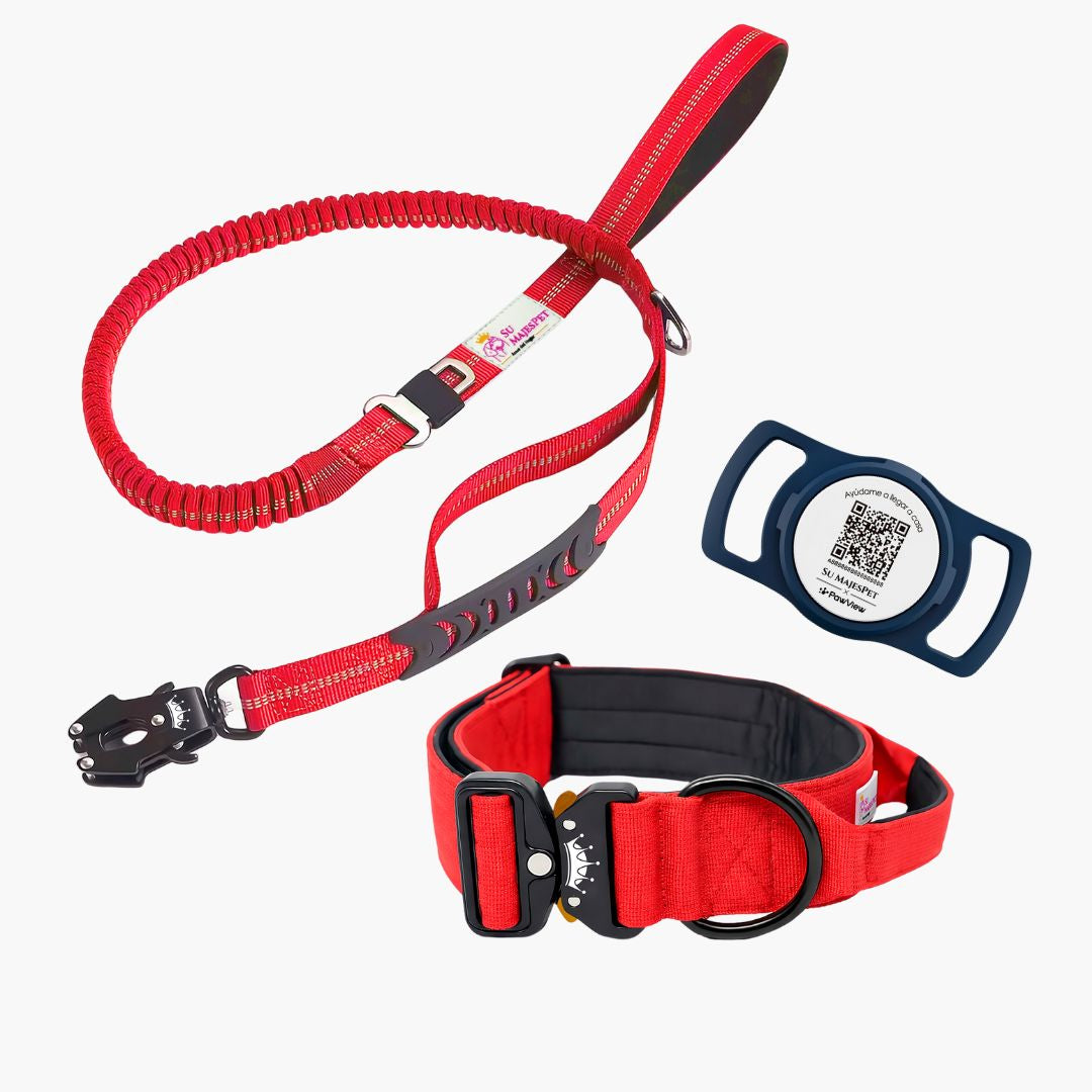 Kit de Paseo Imperial Pro: Collar Imperial + Correa Marcha Imperial + Placa ID Mi Nombre Es