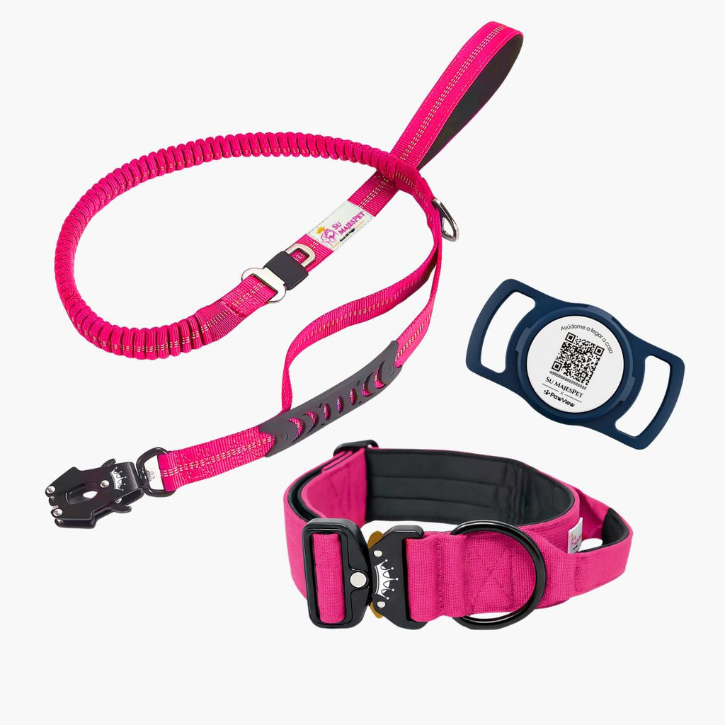Kit de Paseo Imperial Pro: Collar Imperial + Correa Marcha Imperial + Placa ID Mi Nombre Es