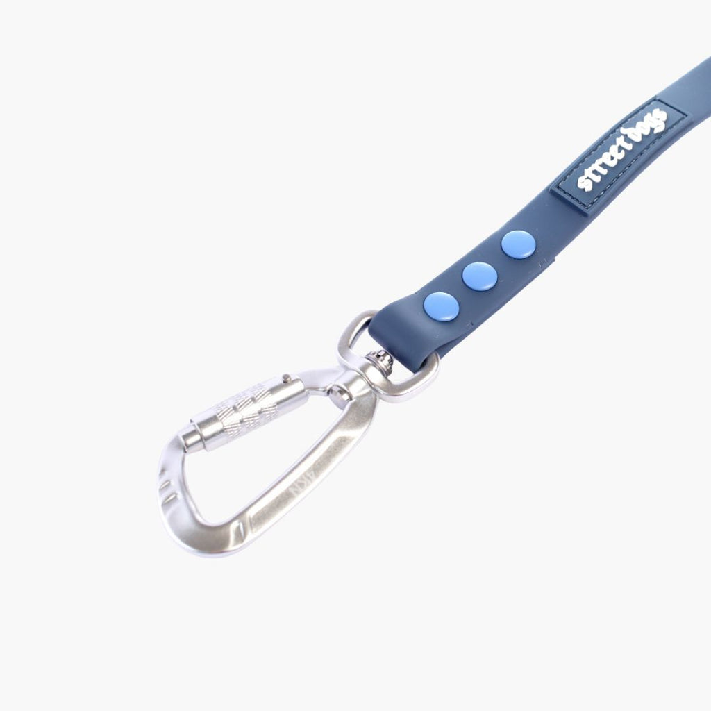 Correa para Perros 3 m - PVC Impermeable | Su MajesPet