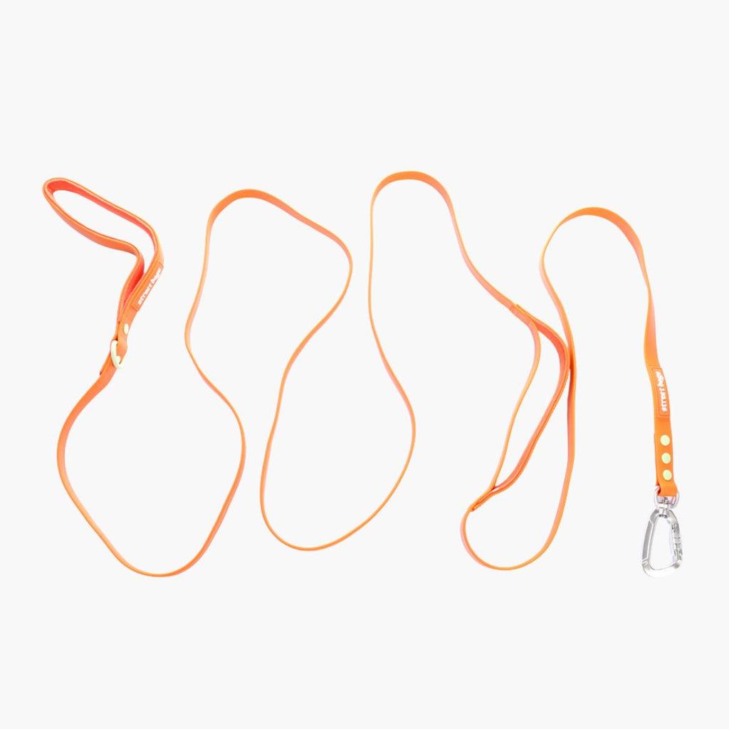 Correa para Perros 3 m - PVC Impermeable | Su MajesPet