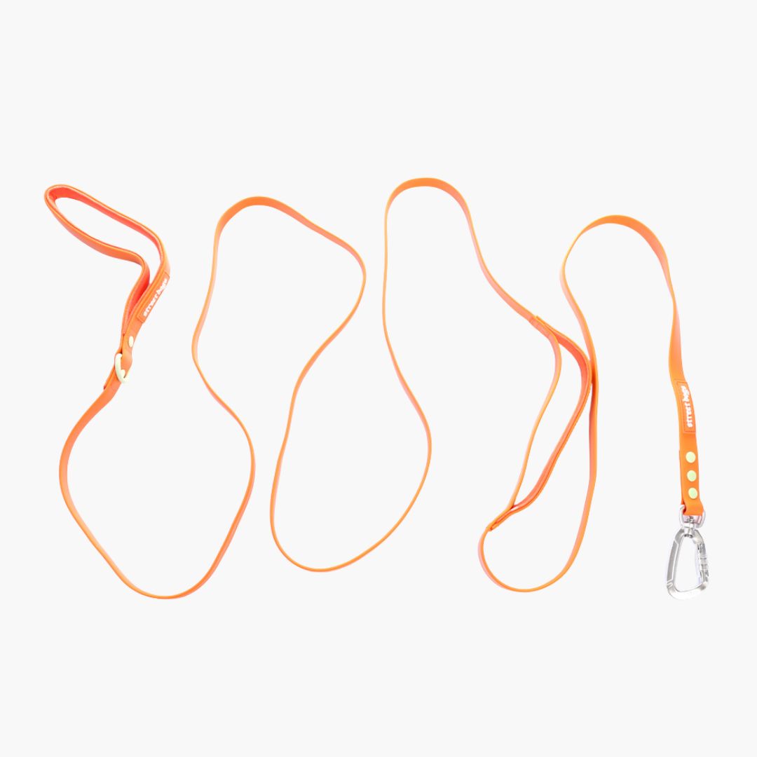 Correa para Perros 3 m - PVC Impermeable | Su MajesPet