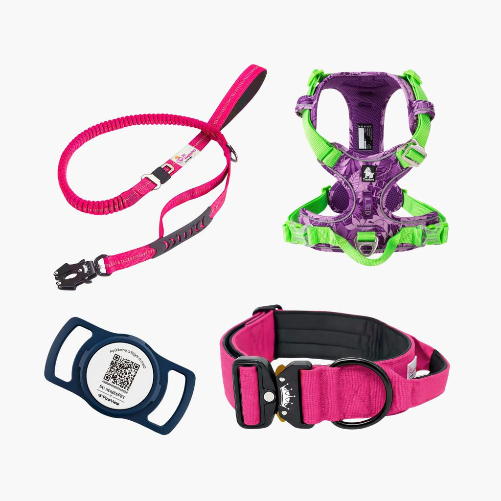 Kit Armadura Imperial, Arnés TrueLove + Collar Imperial + Correa + Placa ID | Su MajesPet