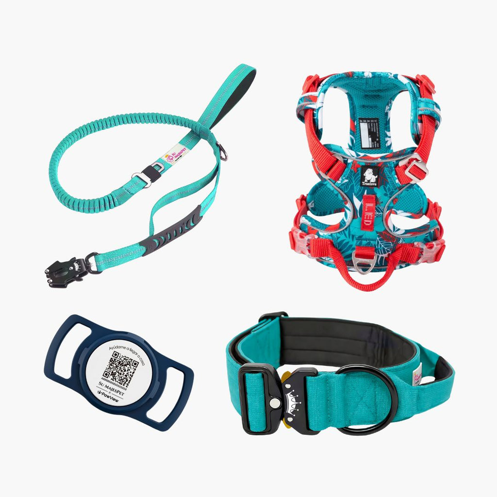 Kit Armadura Imperial, Arnés TrueLove + Collar Imperial + Correa + Placa ID | Su MajesPet