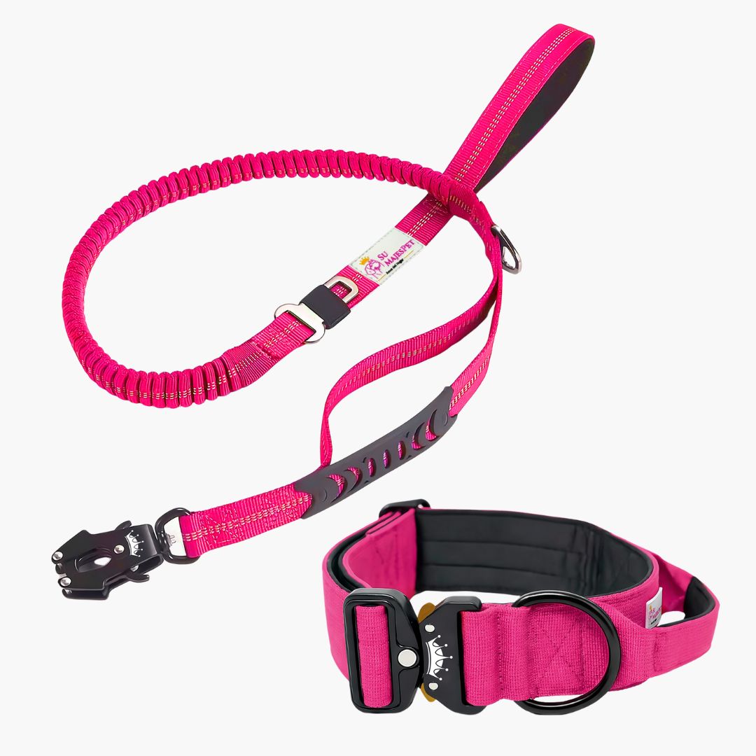 Kit de Paseo Imperial: Collar y Correa para Perros | Su MajesPet