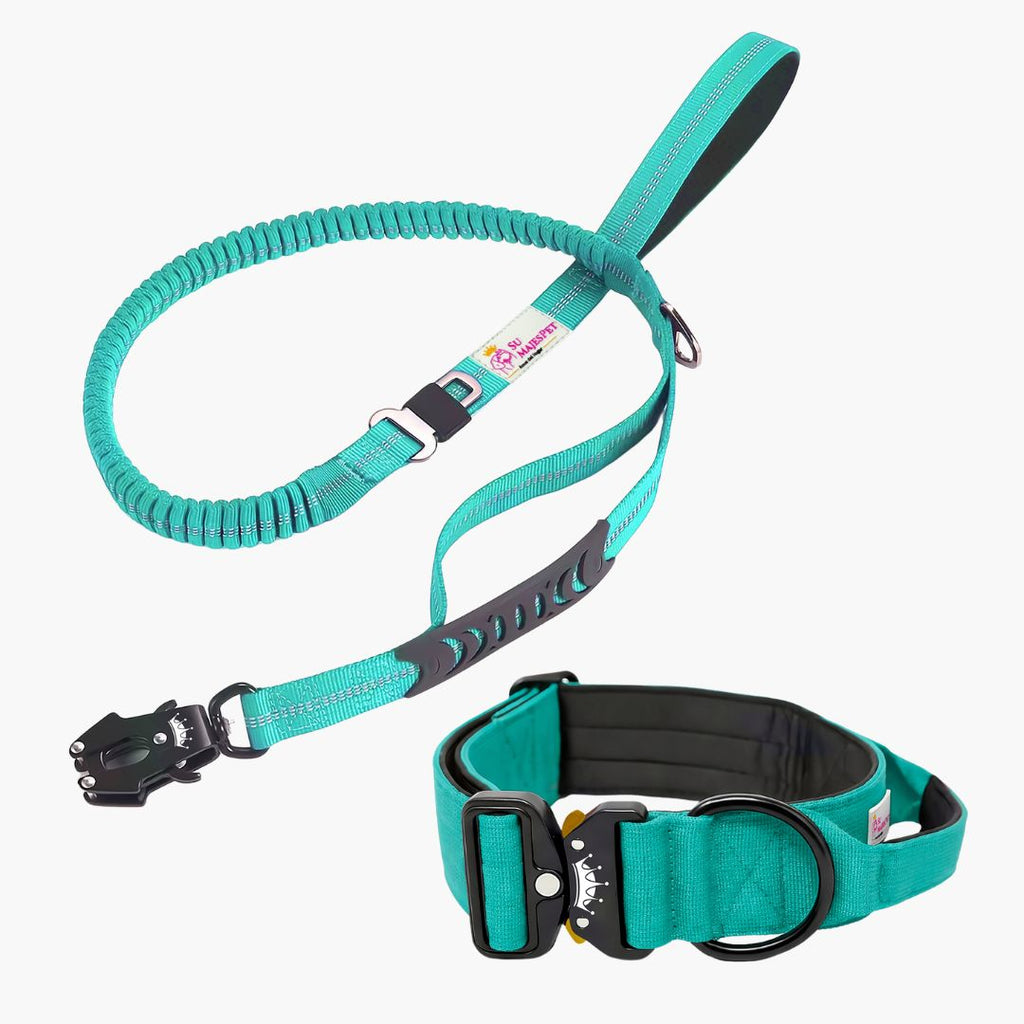 Kit de Paseo Imperial: Collar y Correa para Perros | Su MajesPet