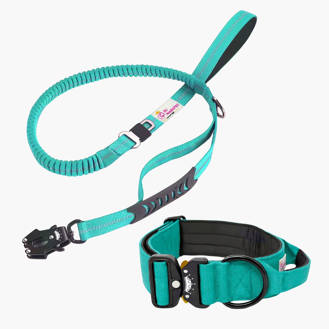 Kit de Paseo Imperial: Collar y Correa para Perros | Su MajesPet