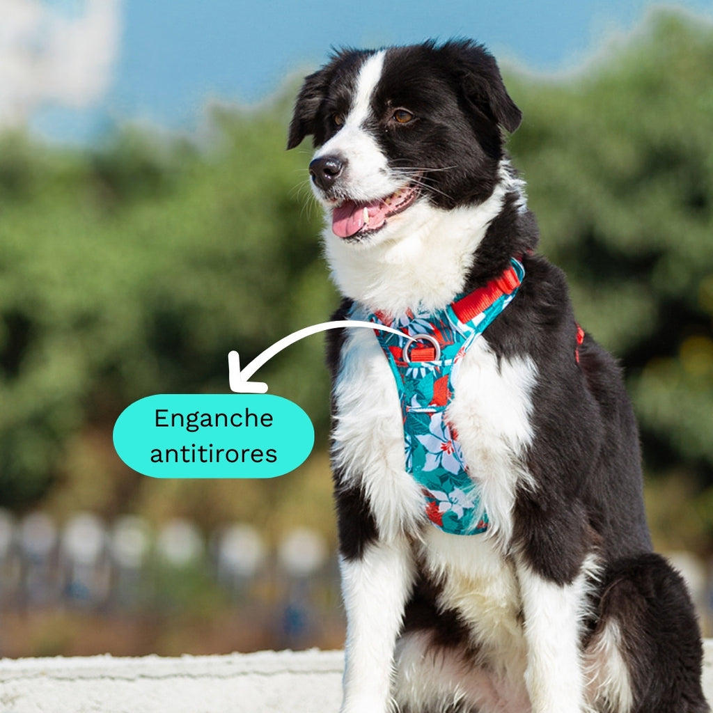 ALT:
Perro usando arnés TrueLove camuflaje azul con enganche antitirones frontal señalado para mayor control en el paseo