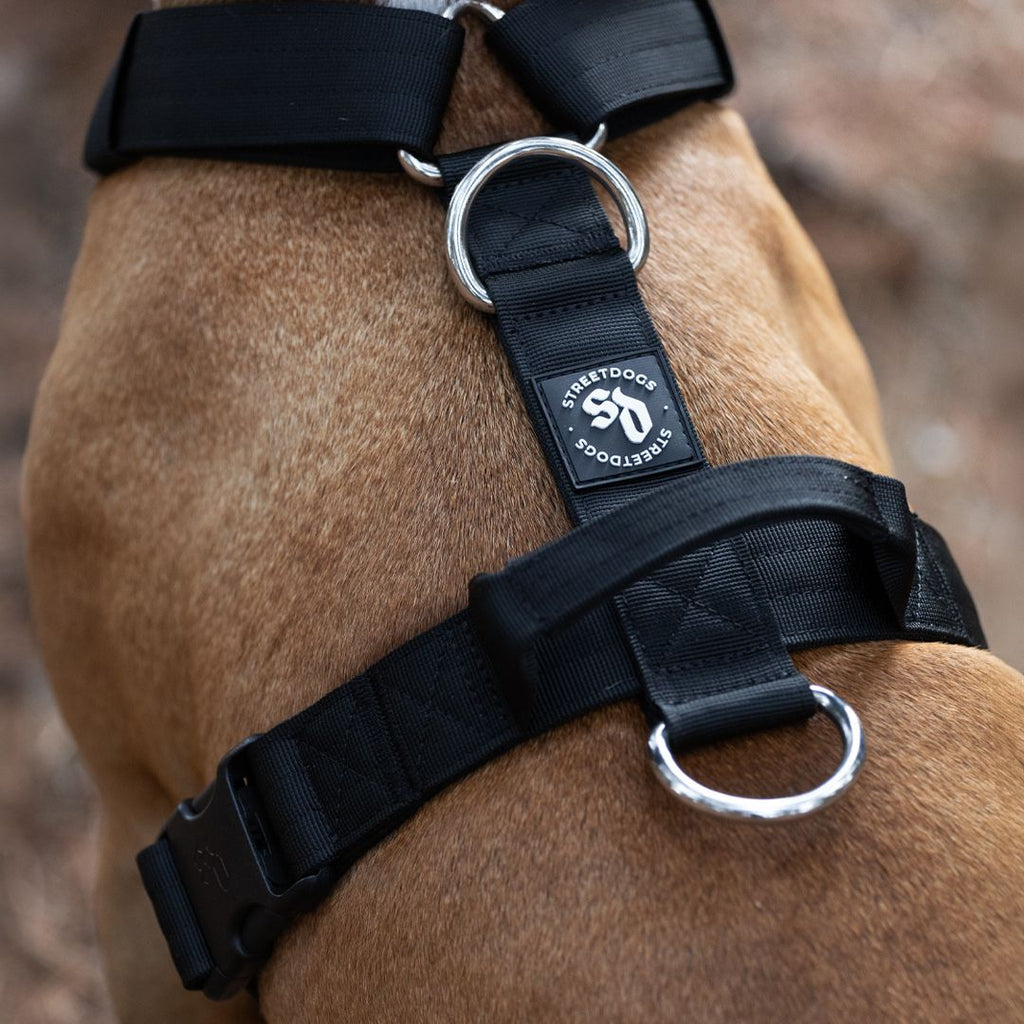 Arnés Ajustable Perro Antitirones – Negro | Su MajesPet