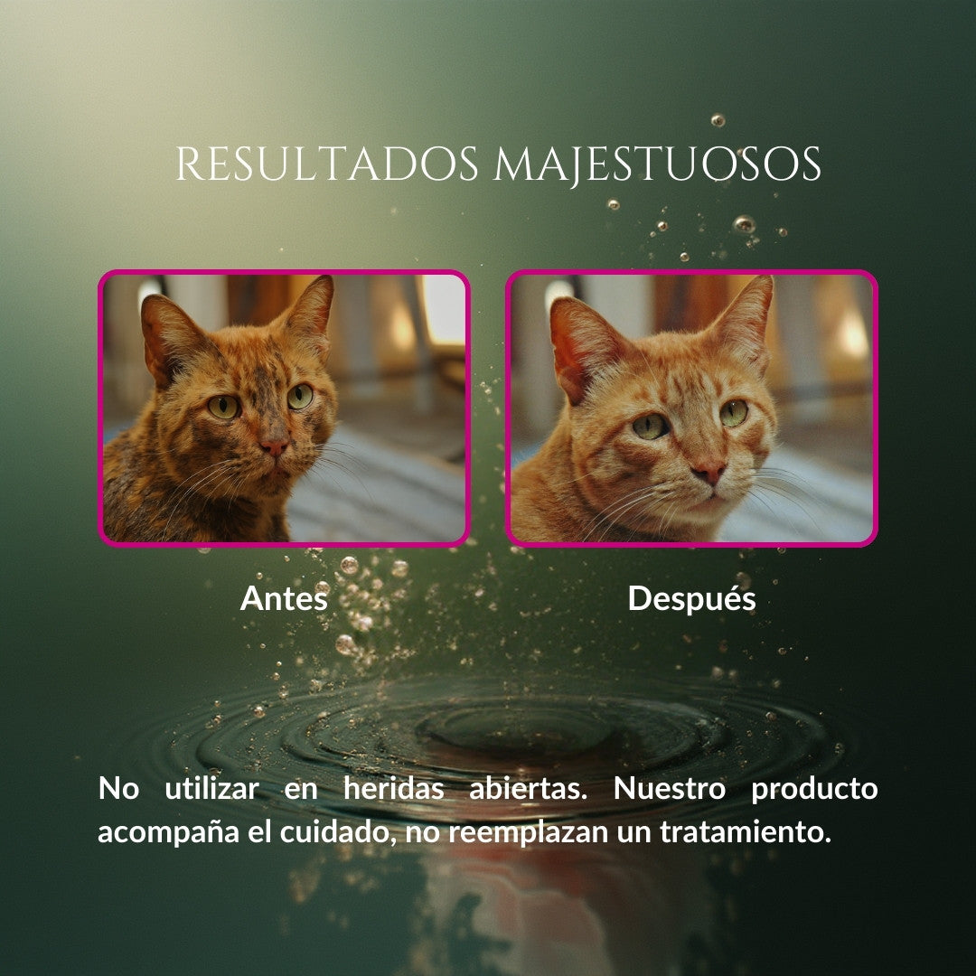 Comparación de resultados de Caricia Real en gato, con imágenes de pelaje antes y después de la limpieza, mostrando el pelo más limpio y ordenado