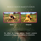 Comparación de resultados de Caricia Real en perro, con imágenes de pelaje antes y después de la limpieza, mostrando el pelo más limpio y ordenado