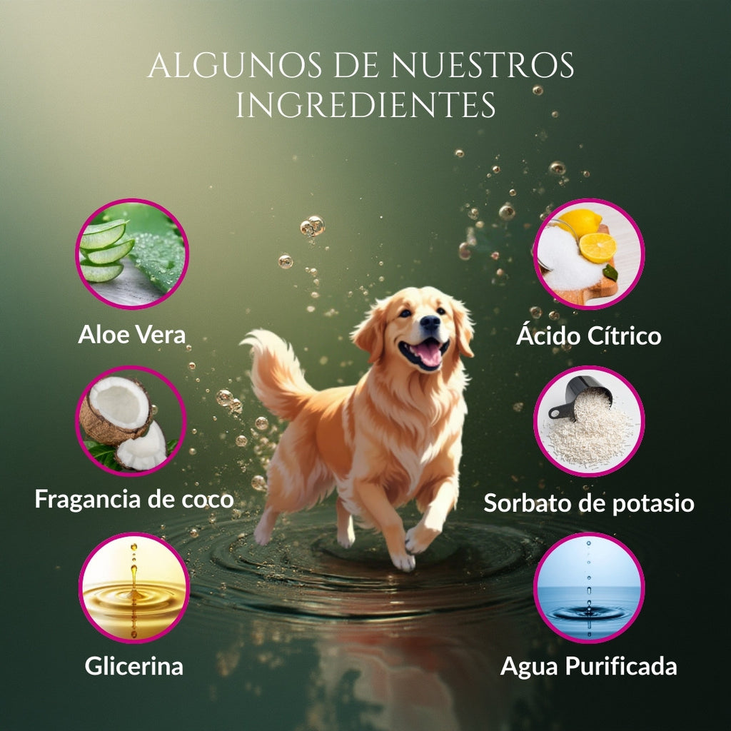 Infografía de ingredientes de Caricia Real para perros con ilustración de perro y componentes como aloe vera, glicerina, fragancia de coco, ácido cítrico, sorbato de potasio y agua purificada