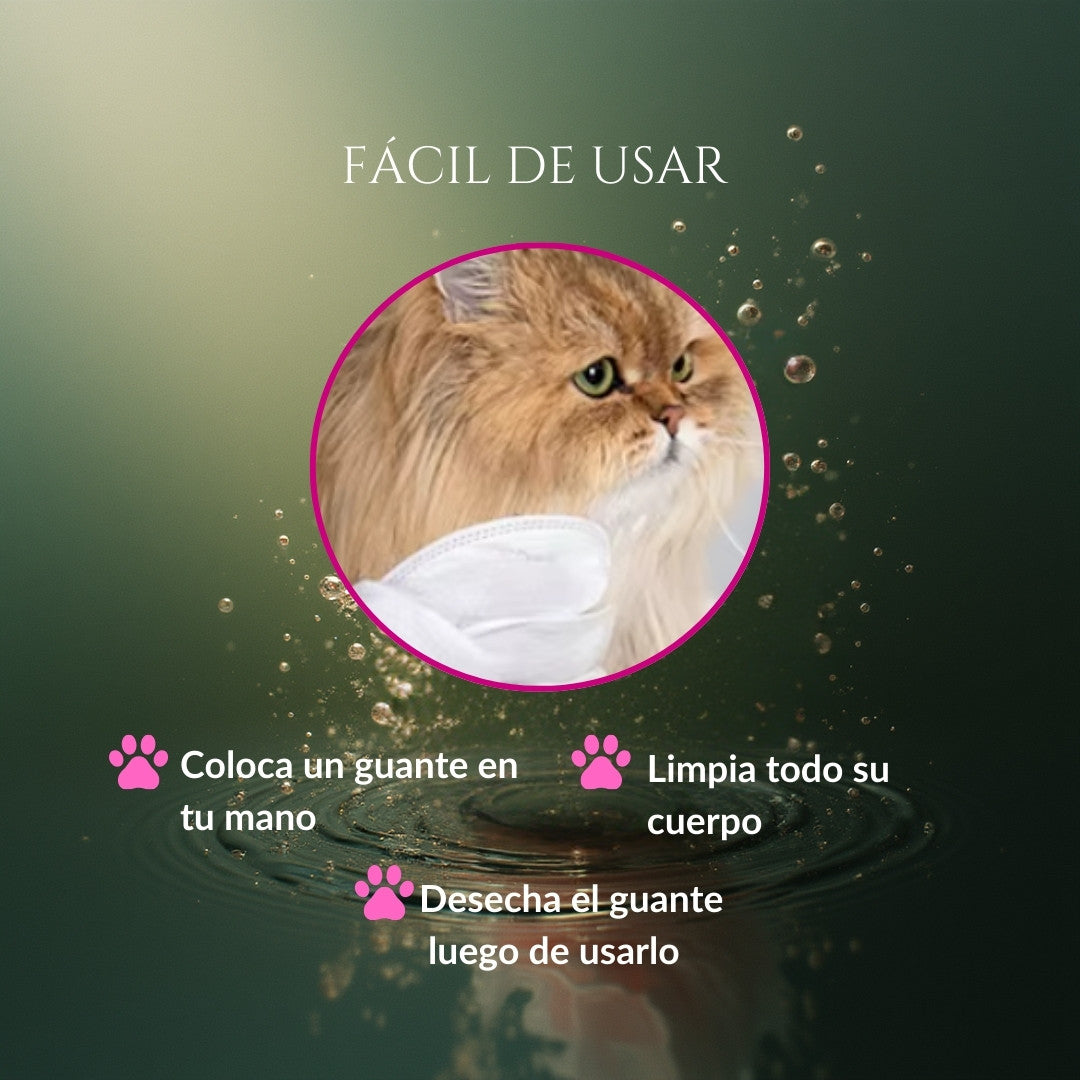 Infografía del modo de uso de Caricia Real en gatos, mostrando un guante húmedo limpiando el cuerpo del gato con instrucciones básicas
