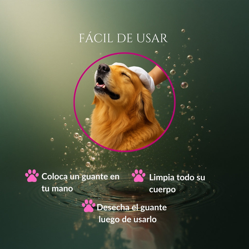 Infografía del modo de uso de Caricia Real en perros, mostrando un guante húmedo limpiando el cuerpo del perro con instrucciones básicas