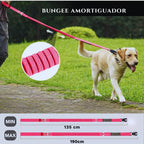 Correa antitirones amortiguadora para perros Marcha Imperial, de 135 a 190 cm, con tramo bungee elastico que absorbe tirones en el paseo