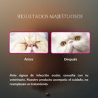 Comparación de resultados de Ojitos Majestuosos en gato, mostrando antes con legañas y después con contorno de ojos más limpio, como complemento al cuidado veterinario