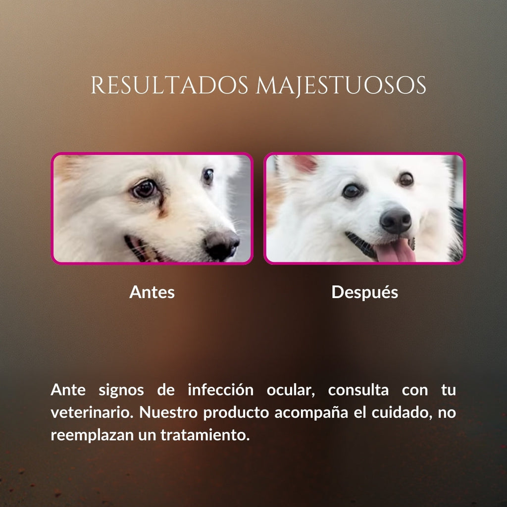 Comparación de resultados majestuosos de Ojitos Majestuosos en perro, imagen de antes con legañas y después con ojos más limpios, con mensaje de que acompaña el cuidado y no reemplaza un tratamiento
