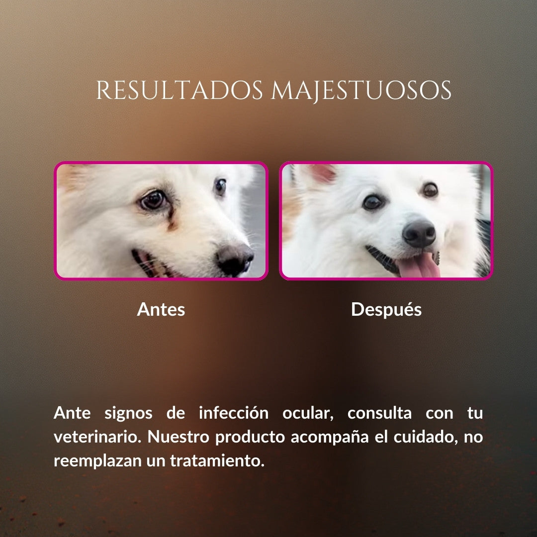 Comparación de resultados majestuosos de Ojitos Majestuosos en perro, imagen de antes con legañas y después con ojos más limpios, con mensaje de que acompaña el cuidado y no reemplaza un tratamiento