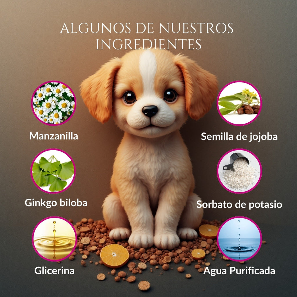 Infografía de los ingredientes principales de Ojitos Majestuosos: manzanilla, ginkgo biloba, glicerina, semilla de jojoba, sorbato de potasio y agua purificada