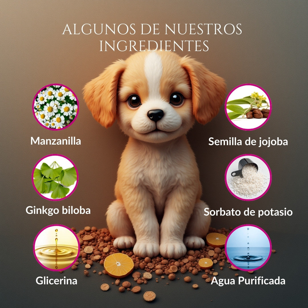 Infografía de los ingredientes principales de Ojitos Majestuosos: manzanilla, ginkgo biloba, glicerina, semilla de jojoba, sorbato de potasio y agua purificada