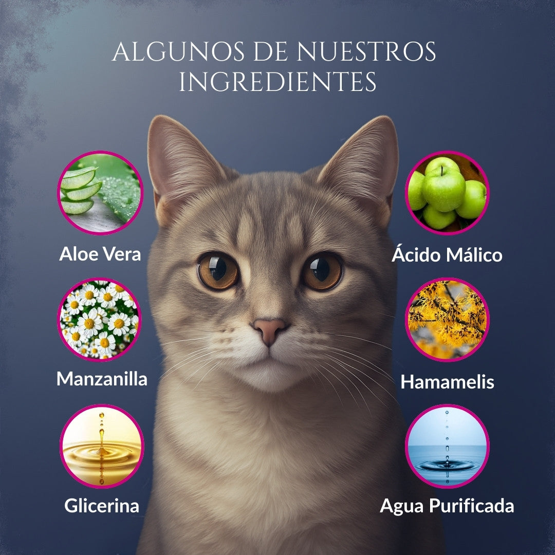 Infografía de ingredientes de Orejas de Corte para gatos con ilustración de gato y componentes como aloe vera, manzanilla, hamamelis, glicerina, ácido málico y agua purificada