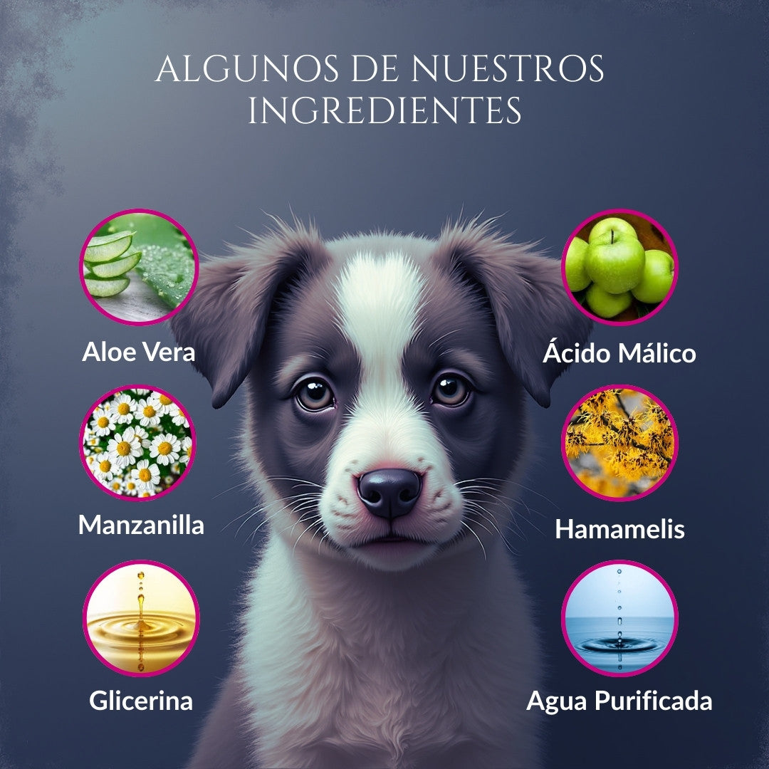 Infografía de ingredientes de Orejas de Corte para perros con ilustración de cachorro y componentes como aloe vera, manzanilla, hamamelis, glicerina, ácido málico y agua purificada
