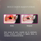 Comparación de resultados de Sonrisa de Palacio en gato, mostrando boca con sarro antes y boca más limpia después, como apoyo a la higiene dental diaria y complemento al tratamiento veterinario