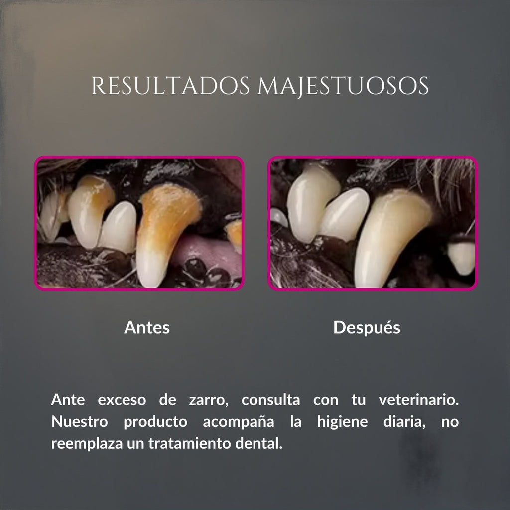 Comparación de resultados de Sonrisa de Palacio en perro, mostrando dientes con sarro antes y dientes más limpios después, como apoyo a la higiene dental diaria y complemento al tratamiento veterinario