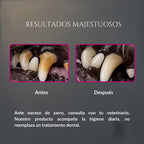 Comparación de resultados de Sonrisa de Palacio en perro, mostrando dientes con sarro antes y dientes más limpios después, como apoyo a la higiene dental diaria y complemento al tratamiento veterinario