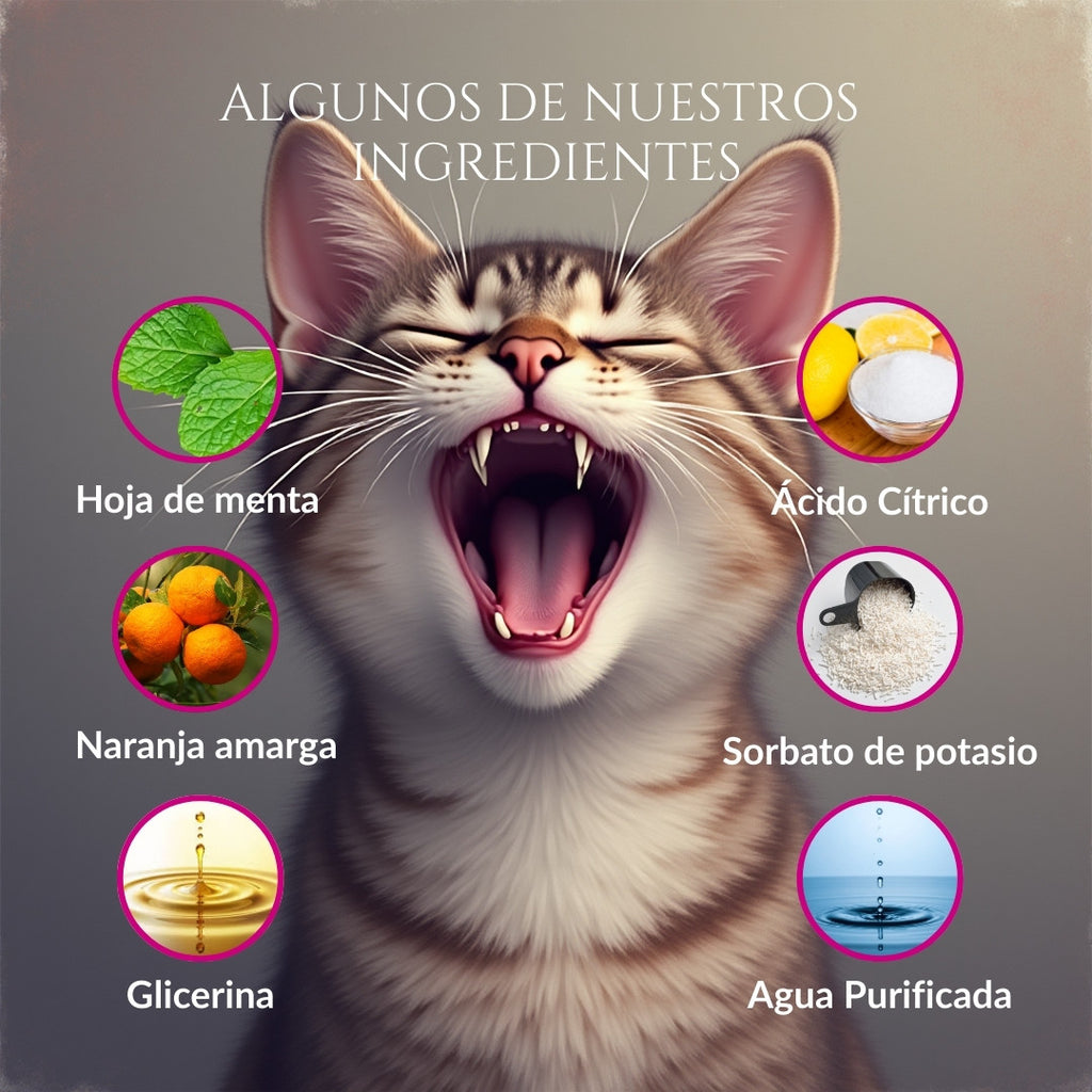 Infografía de ingredientes de Sonrisa de Palacio para gatos con ilustración de gato y componentes como hoja de menta, naranja amarga, glicerina, sorbato de potasio, ácido cítrico y agua purificada