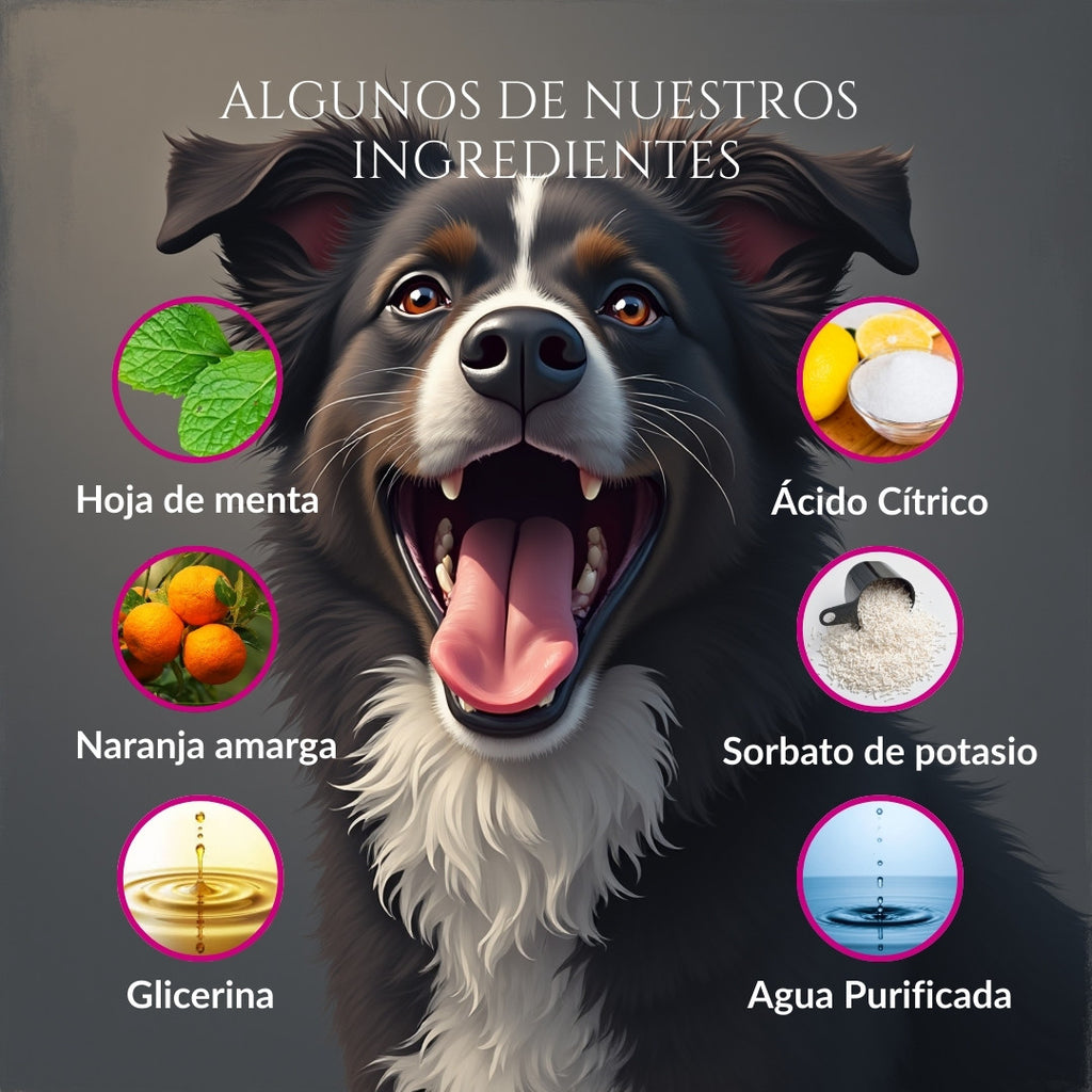 Infografía de ingredientes de Sonrisa de Palacio para perros con ilustración de perro y componentes como hoja de menta, naranja amarga, glicerina, sorbato de potasio, ácido cítrico y agua purificada