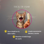 Infografía del modo de uso de Sonrisa de Palacio en gatos: colocar el dedal en el dedo índice, limpiar suavemente dientes y encías, y desechar el dedal después